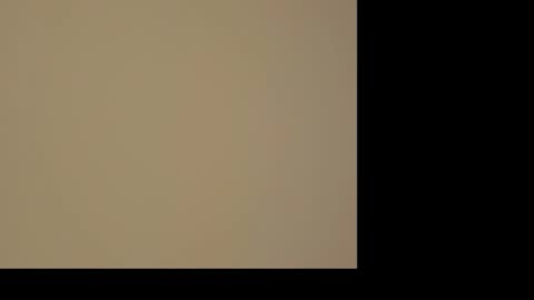 kiwi_mmm online show from 01/10/25, 06:49