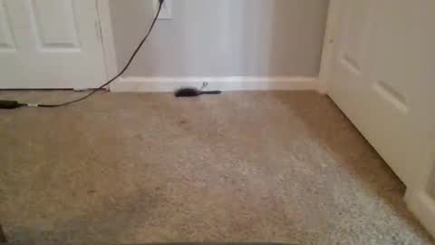 kkristy07 online show from 02/21/26, 02:56