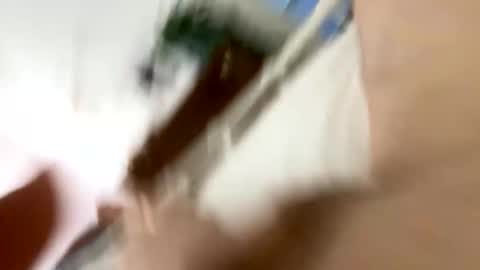 klimt2525 online show from 01/12/26, 02:11