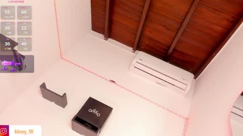 Snapshot of kloey_hoot chatting on 12/31/24, 01:47 Kloey online show from 12/31/24, 01:47