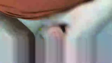 Snapshot of klok8230 chatting on 02/15/26, 08:27 klok8230 online show from 02/15/26, 08:27