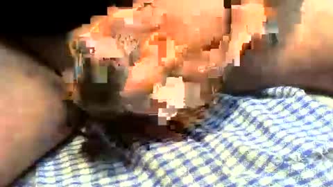 klok8230 online show from 03/27/26, 01:22