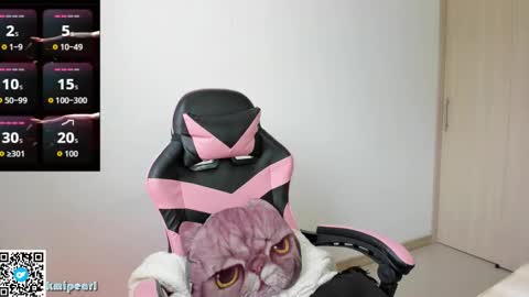 Snapshot of kmipearl chatting on 02/10/26, 02:54 Camila Reyes online show from 02/10/26, 02:54