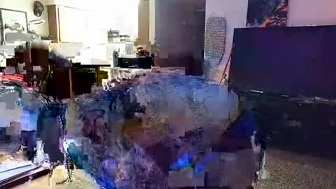 Knox Wilder online show from 11/30/25, 05:55