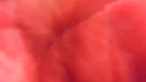 Snapshot of kobayaske chatting on 02/15/25, 12:15 kobayaske online show from 02/15/25, 12:15