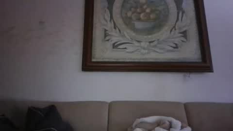 kobolt67 online show from 02/24/26, 03:43