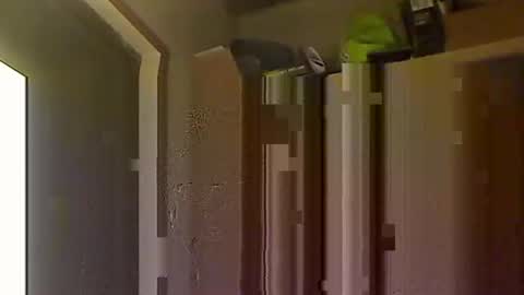 kokin3034 online show from 10/08/25, 04:43