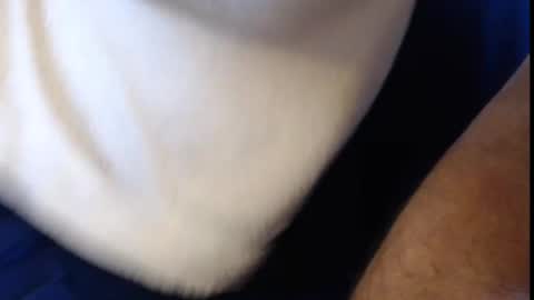 Konrad online show from 03/06/25, 09:25