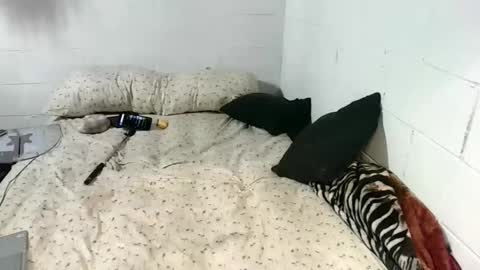 Snapshot of koty1169 chatting on 01/13/26, 10:04 Katybaby online show from 01/13/26, 10:04