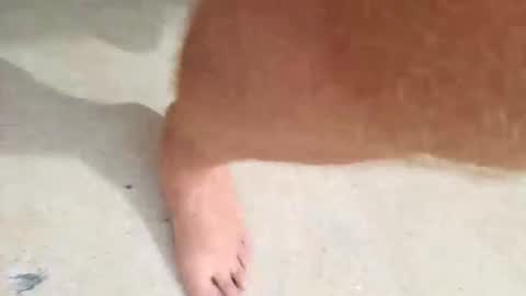 Snapshot of kramit1222 chatting on 09/24/25, 04:43 kramit1222 online show from 09/24/25, 04:43