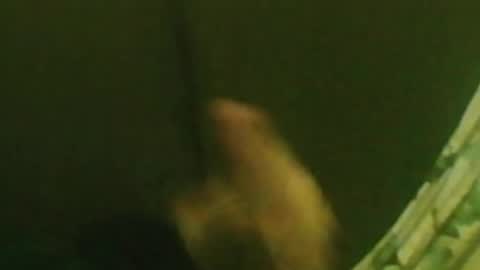 Snapshot of kren565656 chatting on 12/29/24, 01:34 kren565656 online show from 12/29/24, 01:34