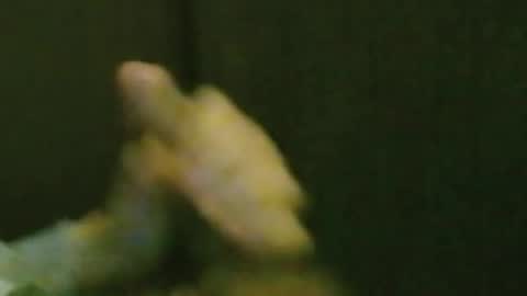 Snapshot of kren565656 chatting on 10/20/25, 08:26 kren565656 online show from 10/20/25, 08:26