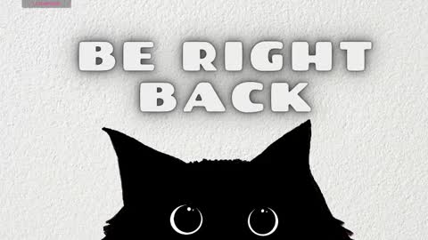   online show from 03/04/26, 03:56