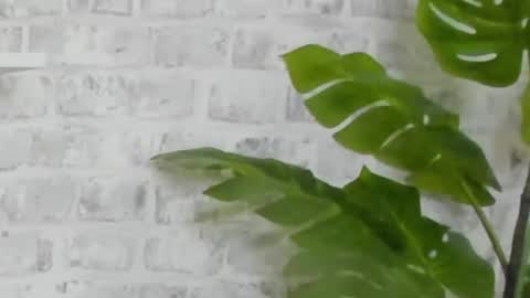 Kristi online show from 12/15/24, 09:45