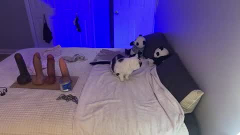 Kristin Snow online show from 09/17/25, 04:47