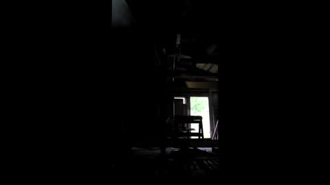 krizastonasdonatas online show from 06/03/26, 02:36
