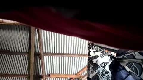 kylie online show from 04/10/26, 12:16