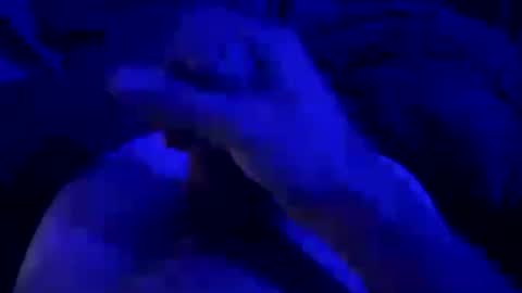 kyool online show from 07/25/26, 08:34