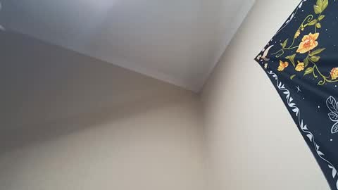 Adonis online show from 02/28/25, 04:32