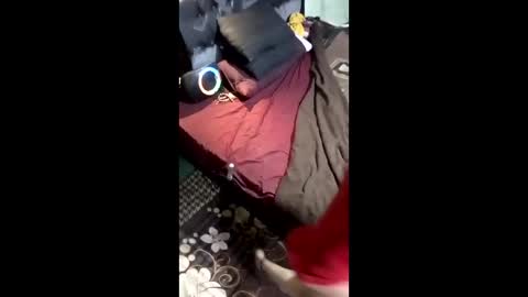 labestiareconoseme44420 online show from 03/08/26, 07:45