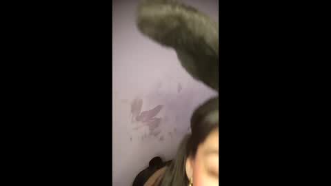 labonitabrazil online show from 02/10/26, 07:51