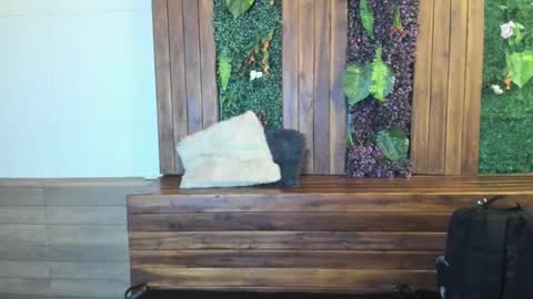 Snapshot of labrinthteasing chatting on 03/02/26, 12:23 labrinthteasing online show from 03/02/26, 12:23