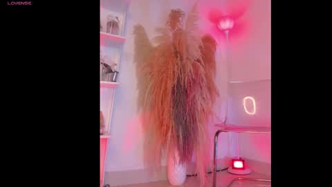 Colorina  online show from 01/12/26, 11:04