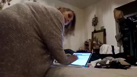 lacybell online show from 11/16/25, 08:20