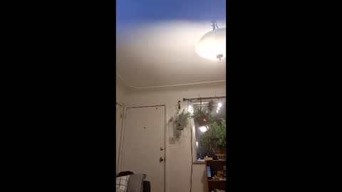 Snapshot of lacybell chatting on 05/10/26, 04:39 lacybell online show from 05/10/26, 04:39