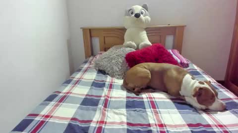 Akyra  online show from 10/21/25, 11:55