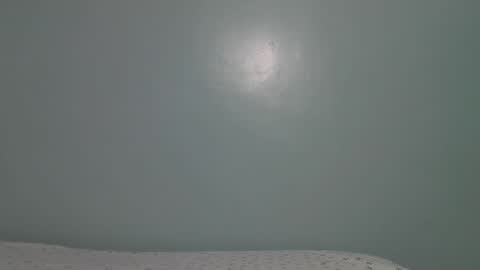 lady_dearra online show from 01/17/26, 05:45