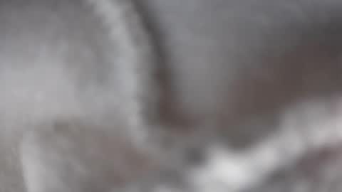 hugbug online show from 12/17/24, 04:34