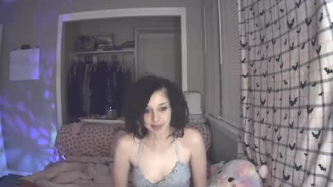 hugbug online show from 12/18/24, 03:04