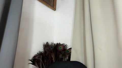 ladylollipop_marls online show from 03/10/26, 10:31