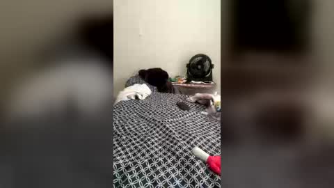 Ladyluckz online show from 07/06/26, 03:03