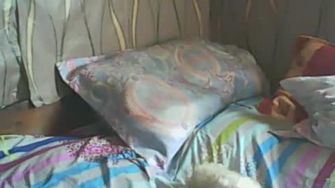 LadyXSnakes online show from 02/19/25, 07:39