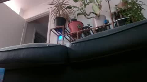 Snapshot of laidback_and_chill chatting on 02/01/25, 03:08 Rick online show from 02/01/25, 03:08