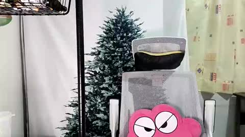 lailai6699 online show from 09/12/25, 05:02