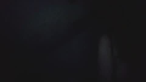 I work 5PM to 9 PM EST  New York online show from 04/25/26, 09:45