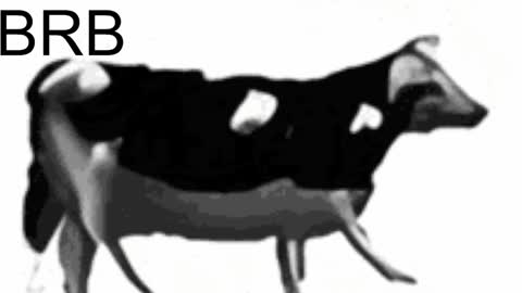 just call me Lana  and her security online show from 02/06/25, 11:10