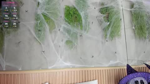 lana_lann online show from 10/27/25, 11:47