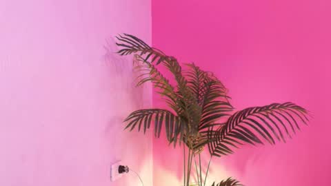 Snapshot of lana_ortega chatting on 01/18/26, 02:59 LANA online show from 01/18/26, 02:59