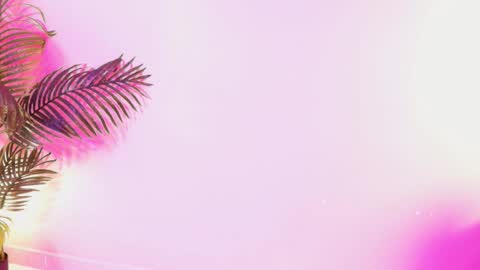 LANA online show from 03/29/26, 03:50