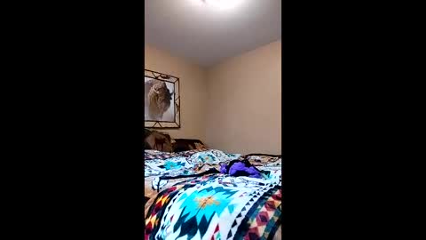 langederek2 online show from 03/26/26, 08:58