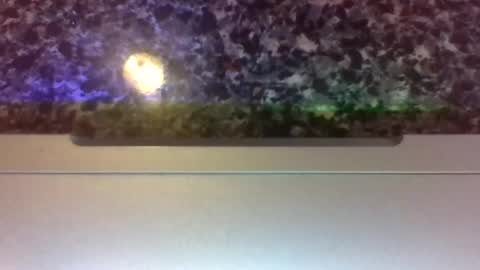 Lapuzzycat201923 online show from 01/14/25, 02:43