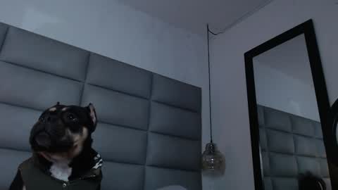 lara online show from 12/31/24, 12:00