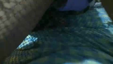 latinoboi2 online show from 04/01/26, 04:57