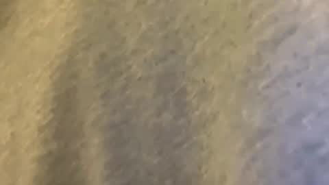 Mexakin online show from 03/09/26, 01:42