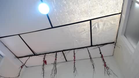 LAURA online show from 03/23/26, 03:38