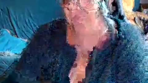 laureanne online show from 04/05/26, 08:22